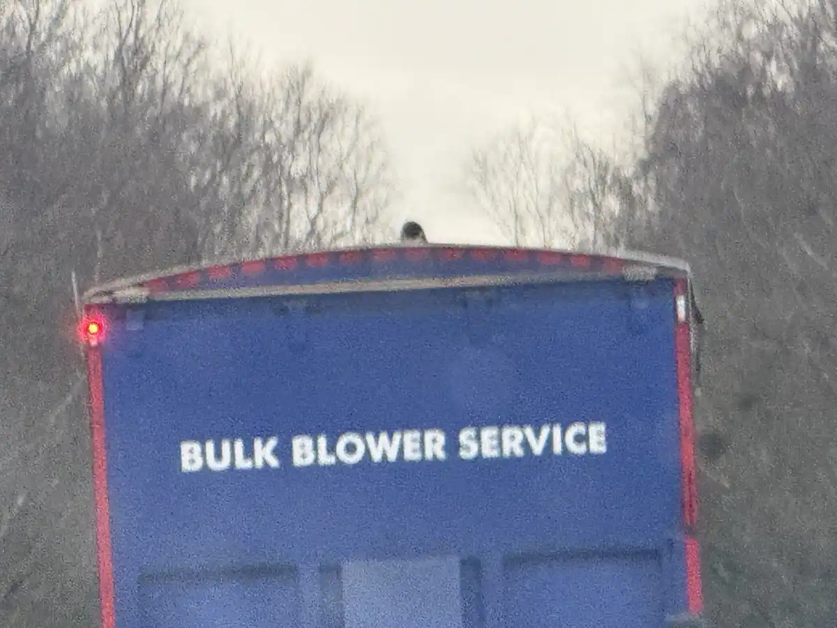 A blue truck with red trim and white text reading 'BULK BLOWER SERVICE' is seen from behind, with a small dark bird perched…
