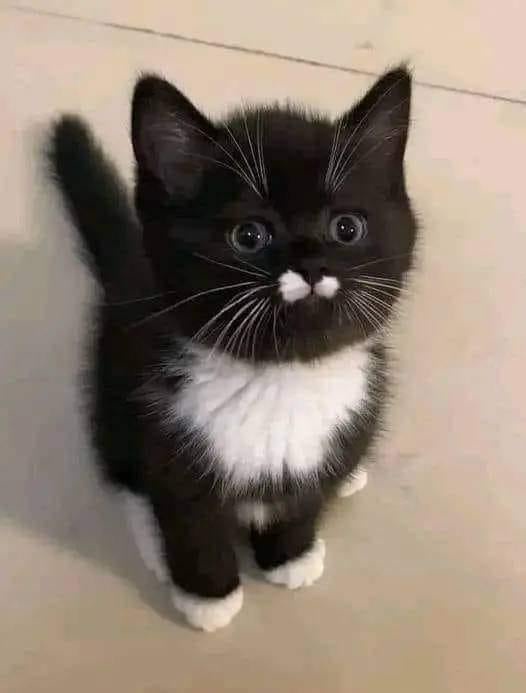 A Touch of Elegance