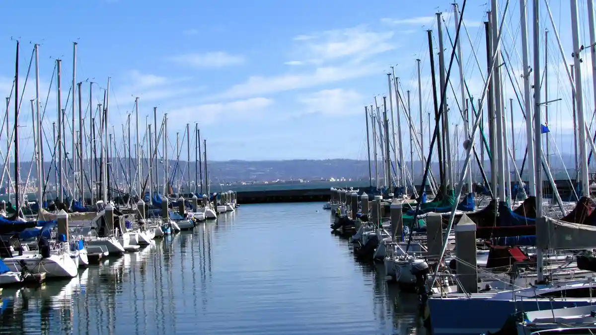 A serene marina with numerous sailboats docked on both sides of a calm waterway, their masts creating a dense forest of…