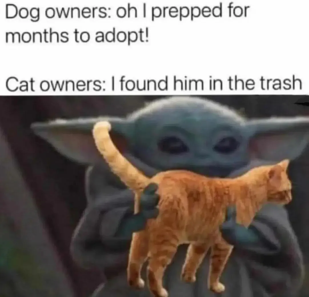 A still image of the character Grogu (Baby Yoda) holding an orange tabby cat. The image has two lines of white text…