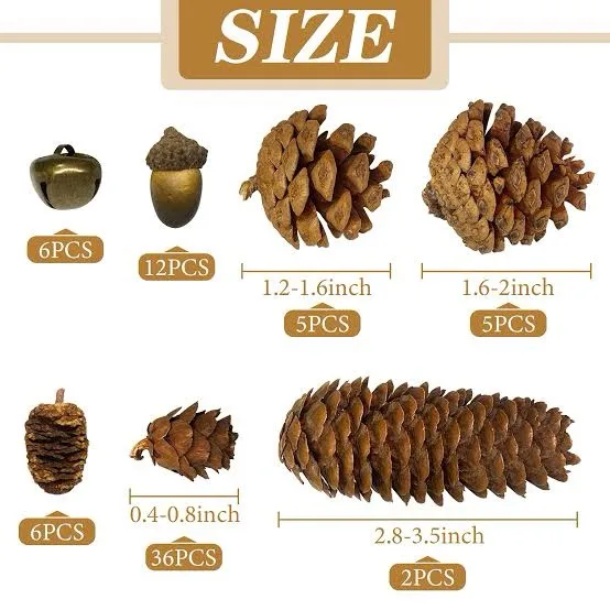 An image displays a product size chart for pinecones and acorns, showing various types with their dimensions and quantities…