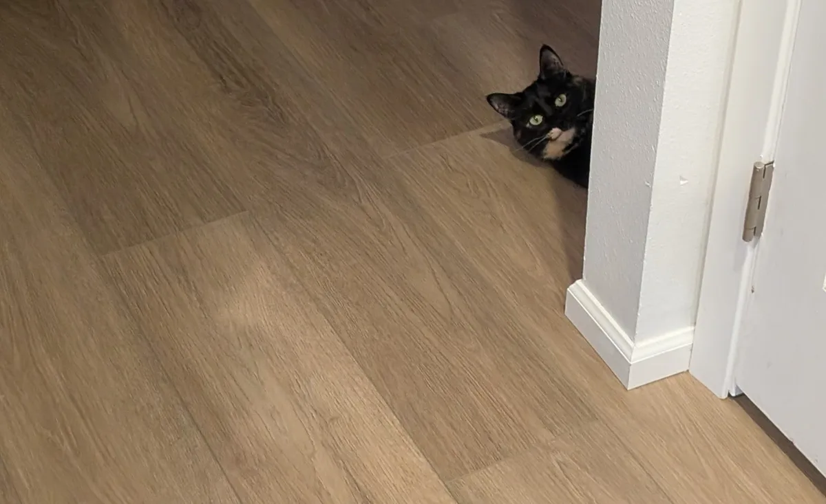 The Art of the Sneaky Smudge