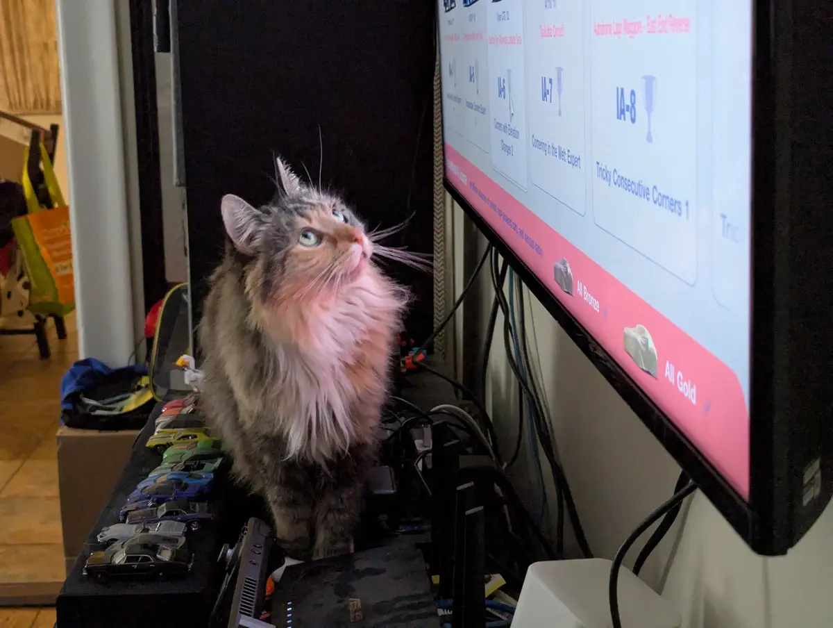 Surprised face: What just happened?!