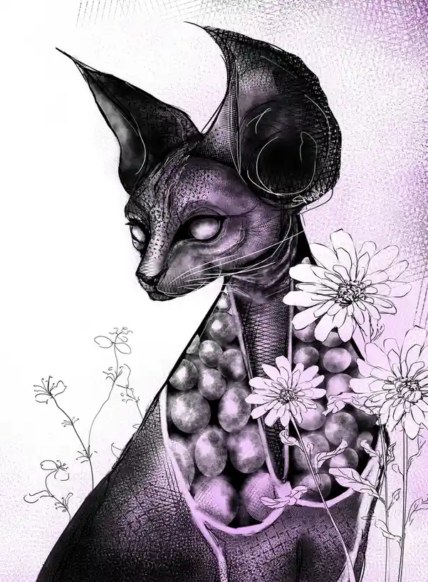 A stylized, hairless cat with large pointed ears and a melancholic expression is depicted in a black-and-white sketch with…