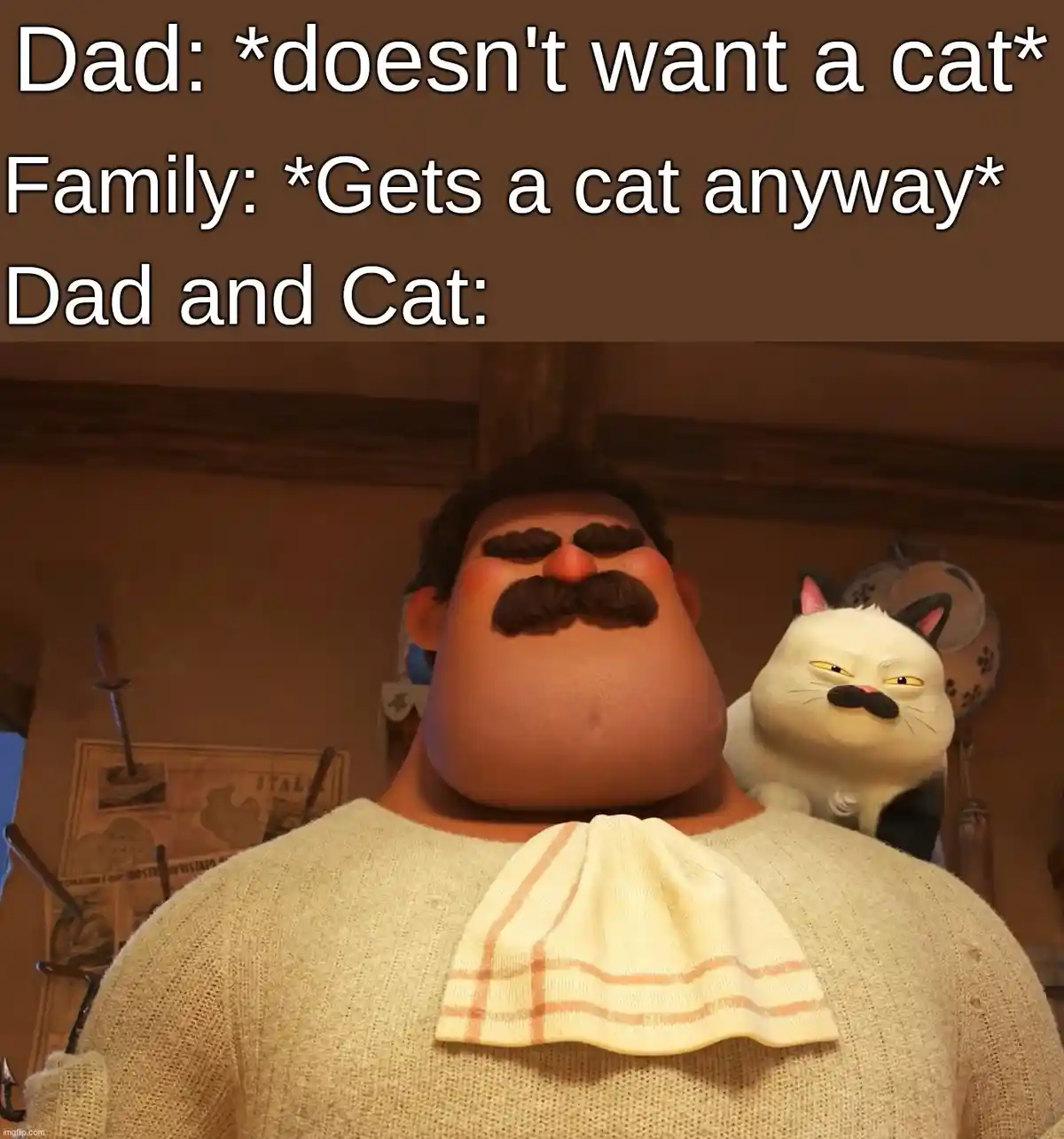 A Collection of Hilarious Cat Memes That Made My Day