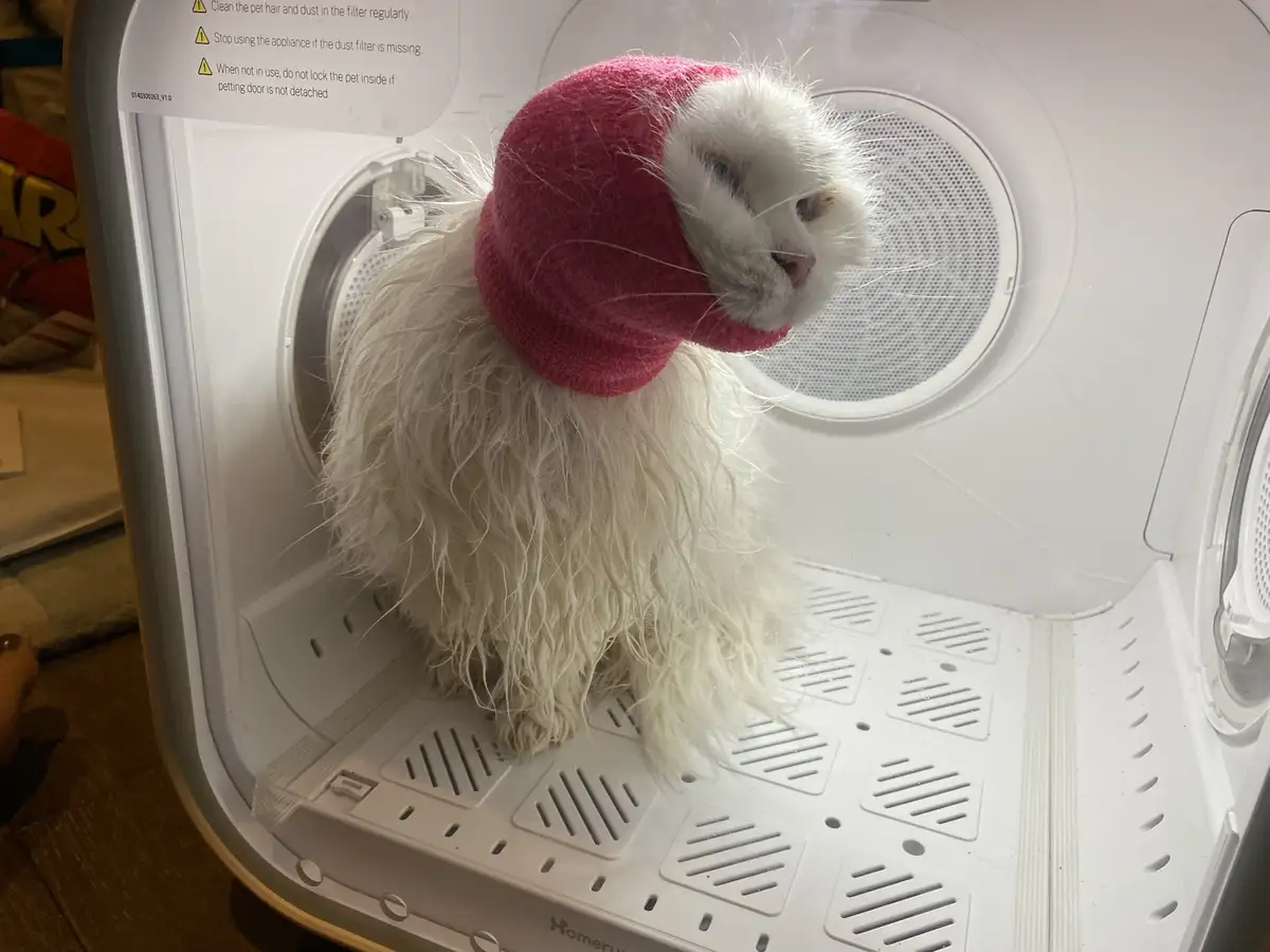 A fluffy white cat wearing a pink knit hat is sitting inside a white pet dryer with a visible warning label. The cat looks…