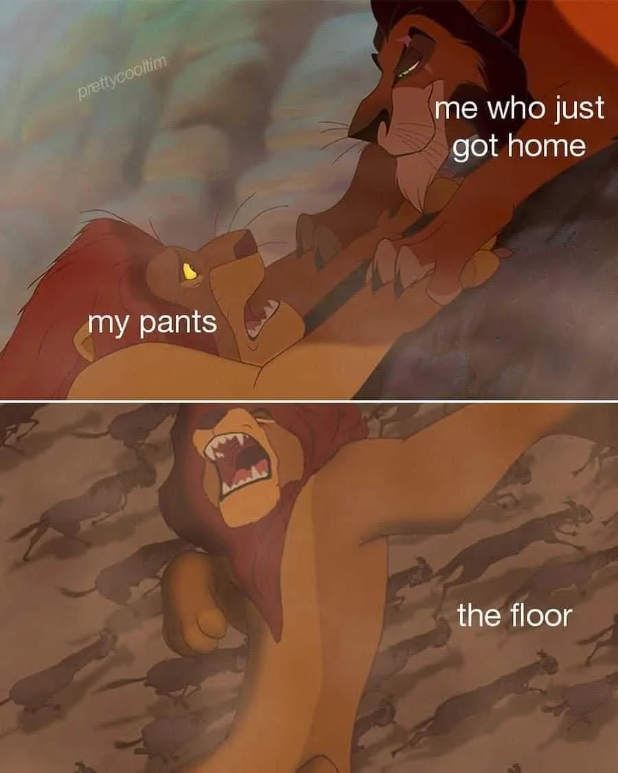 The top panel shows a calm lion labeled 'me who just got home' looking down at another lion labeled 'my pants' who is lying…