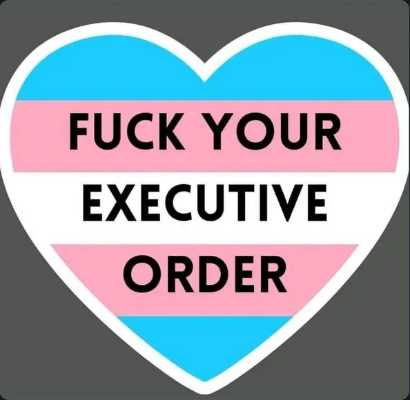 A heart-shaped sticker with the trans pride flag colors (light blue, pink, white) displays the text 'FUCK YOUR EXECUTIVE…
