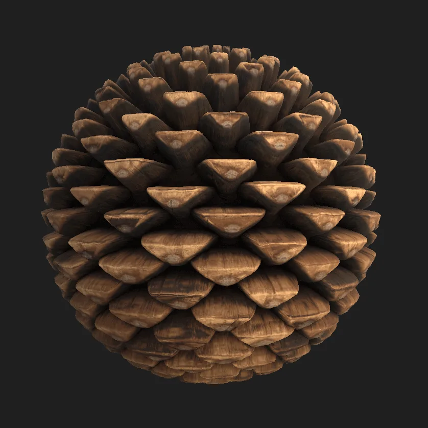 Six pine cones are arranged in two rows of three against a dark background. Each cone is identical in shape and texture…