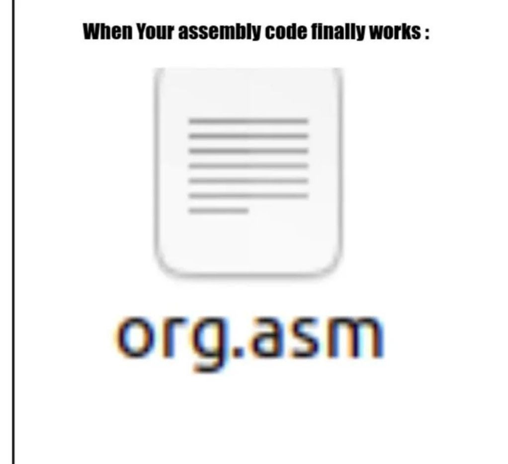 The image shows a generic document icon with placeholder lines, overlaid with the text 'When Your assembly code finally…