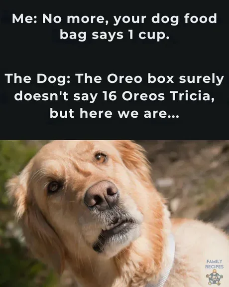 A close-up photo of a golden retriever looking up with a slightly resigned or exasperated expression. The dog has light…