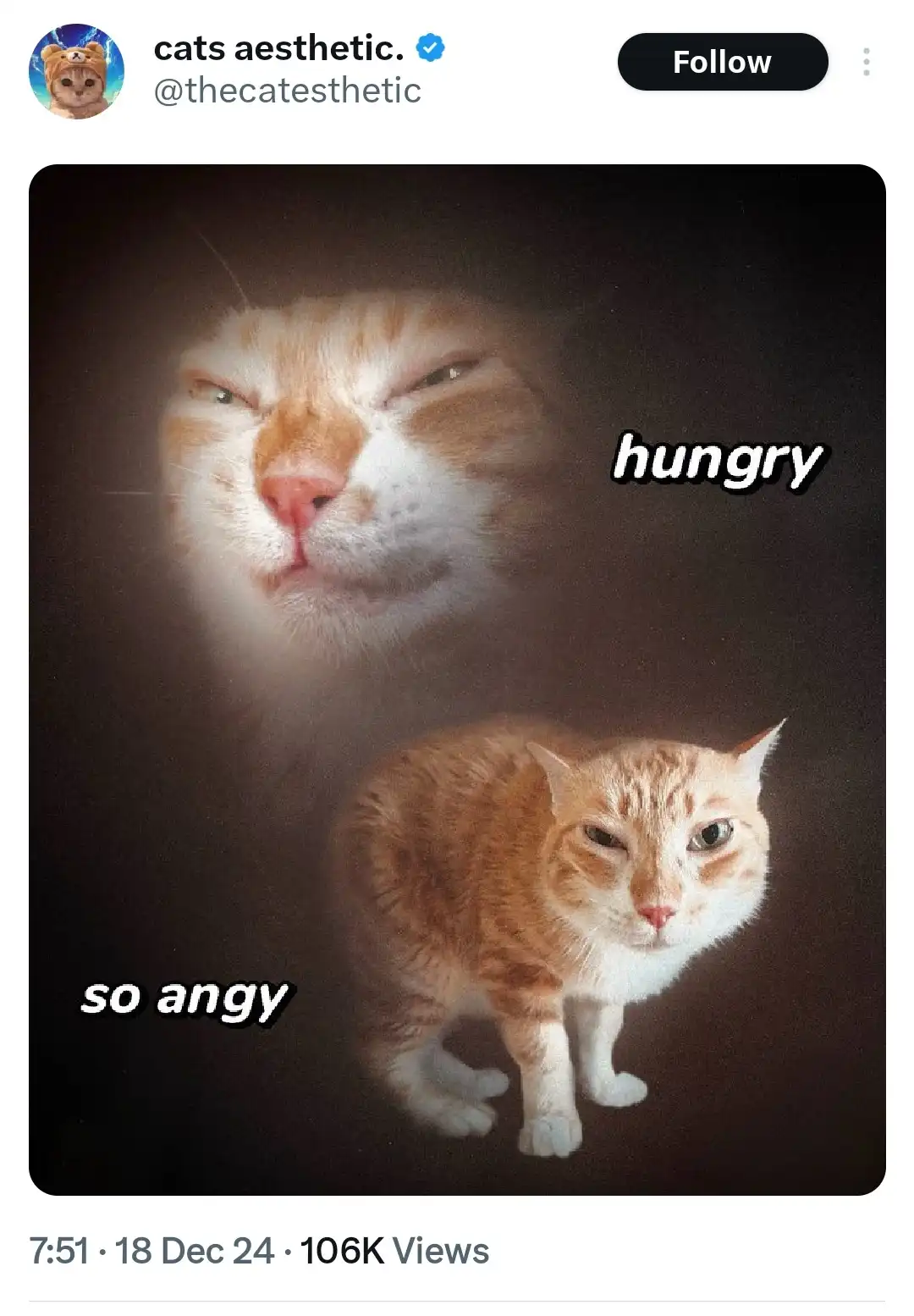 When Hunger Strikes: My Hangry Transformation