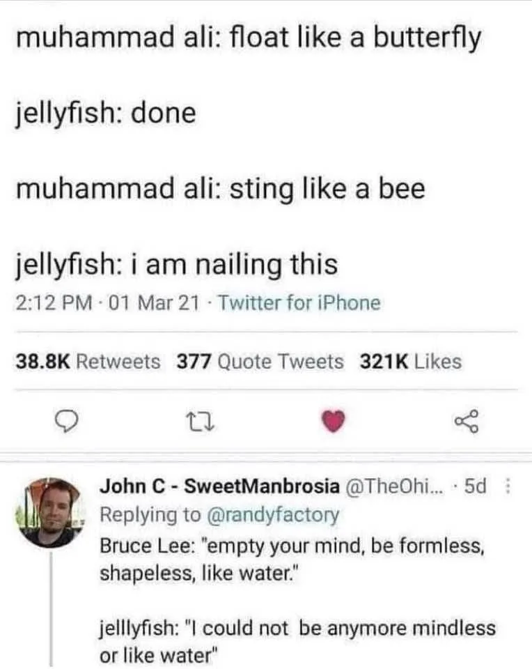 A screenshot of a Twitter thread where a user quotes Muhammad Ali's boxing advice, and a jellyfish replies 'done' and 'i am…