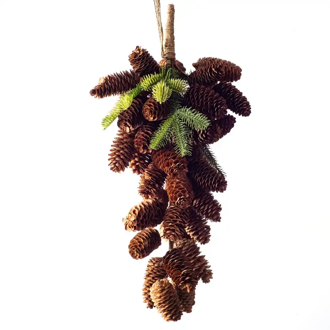 Pinecone Powerhouse: Team Spirit Unleashed