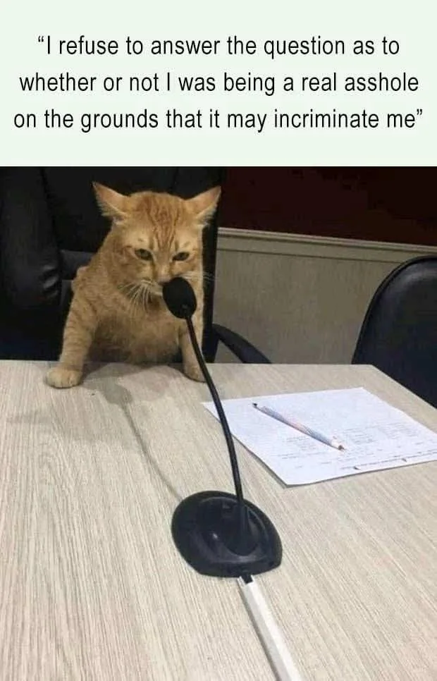 An orange tabby cat sits at a wooden desk in front of a black gooseneck microphone, looking serious and unimpressed. A sheet…