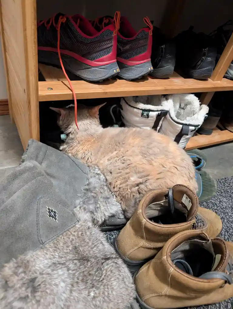 Surprise! There's a Heat Vent Hiding Under the Shoe Rack