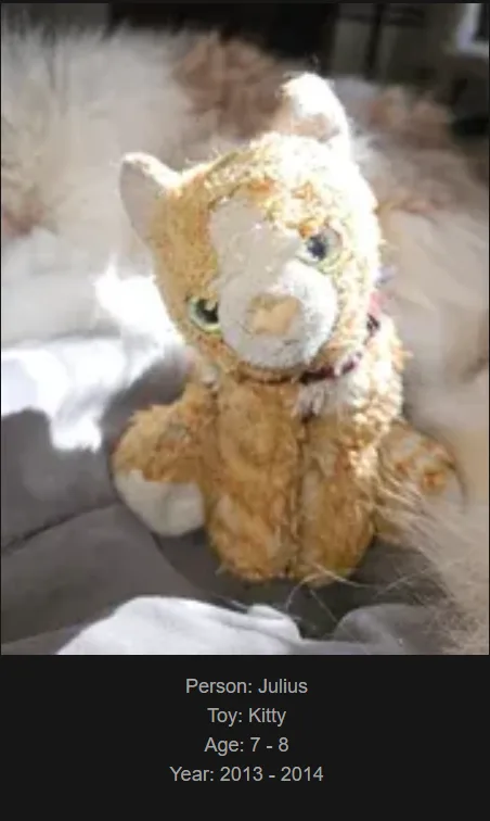 A worn, fluffy orange and white stuffed cat toy sits on a soft surface, with text overlaid at the bottom identifying it as…