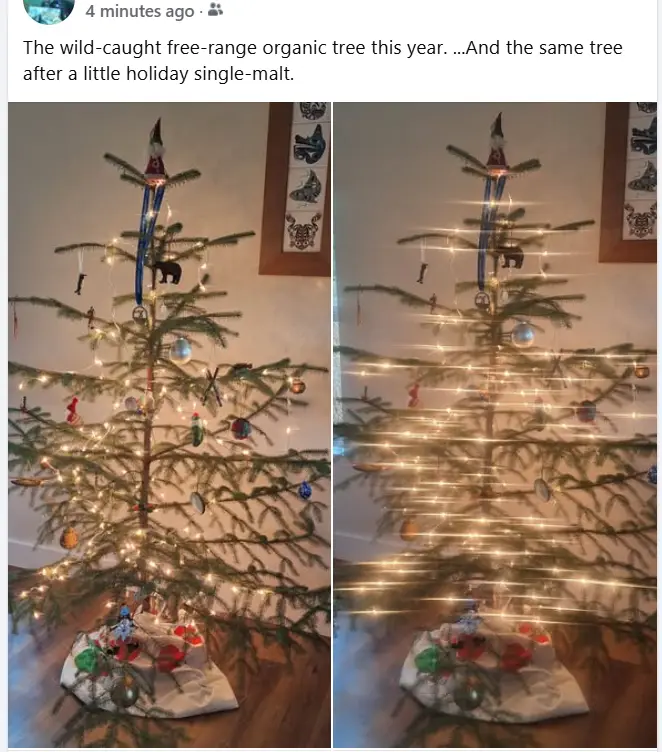 A side-by-side image shows the same decorated Christmas tree; the left panel is clear, while the right panel is heavily…