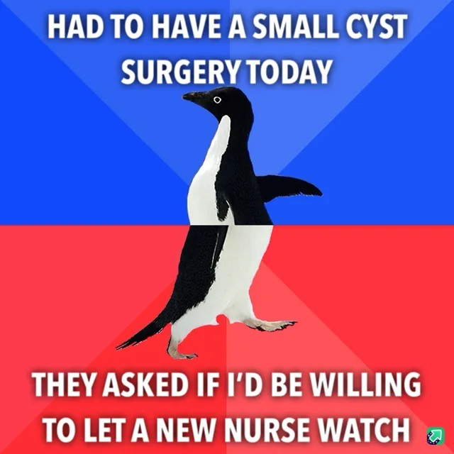 A penguin is split vertically down the middle, with the top half against a blue background and the bottom half against a red…
