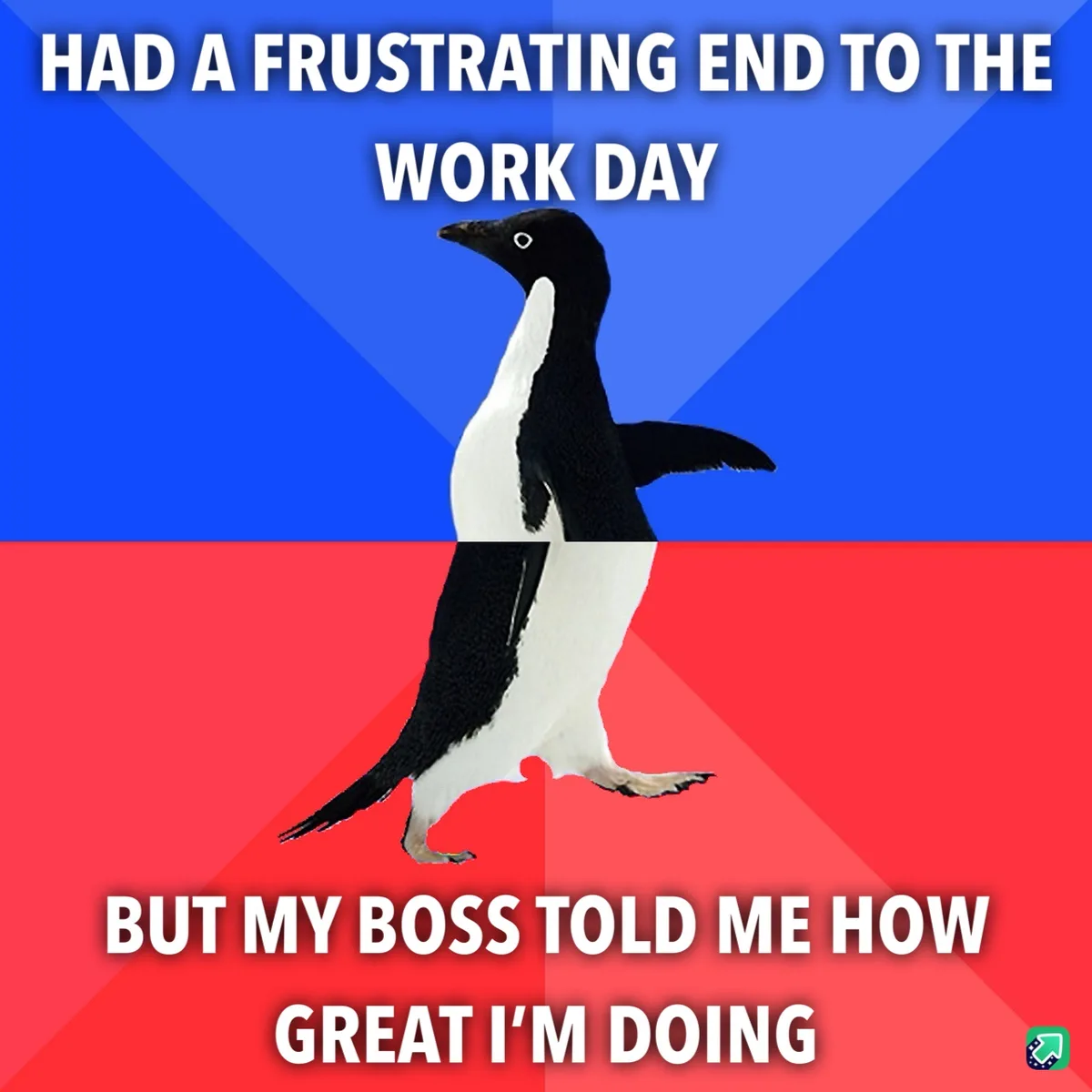 A black-and-white penguin stands centered against a split background of blue and red, with white text at the top reading…