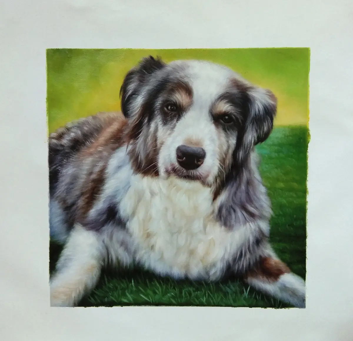 A realistic painting of a fluffy, tri-color dog (likely an Australian Shepherd) lying on green grass, looking directly at…