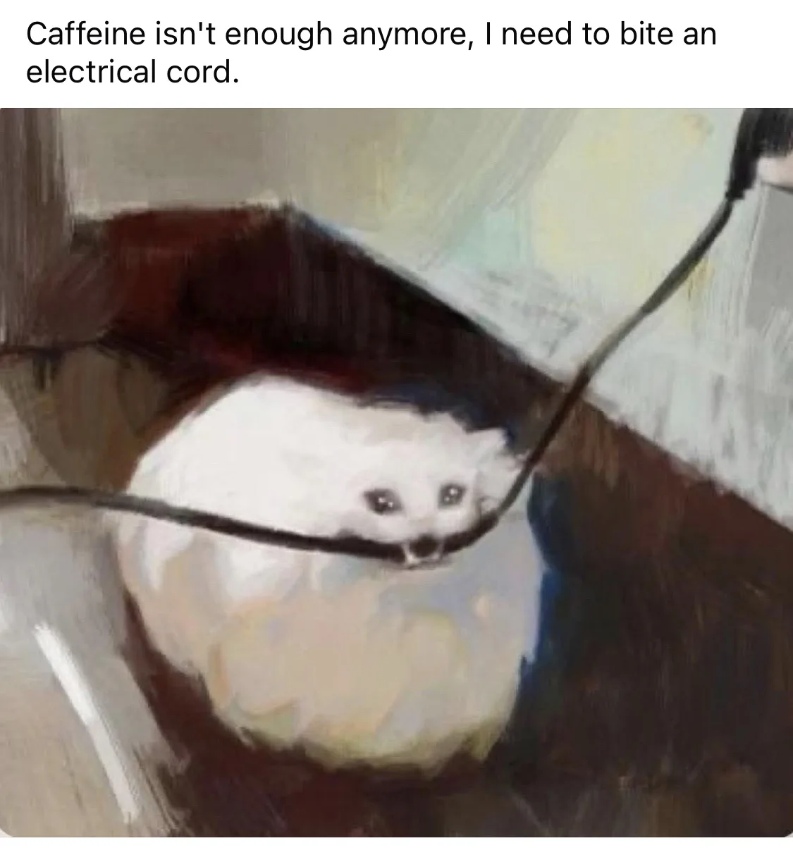 A blurry, painterly image shows a small white animal, likely a cat or ferret, biting a black electrical cord. The animal is…