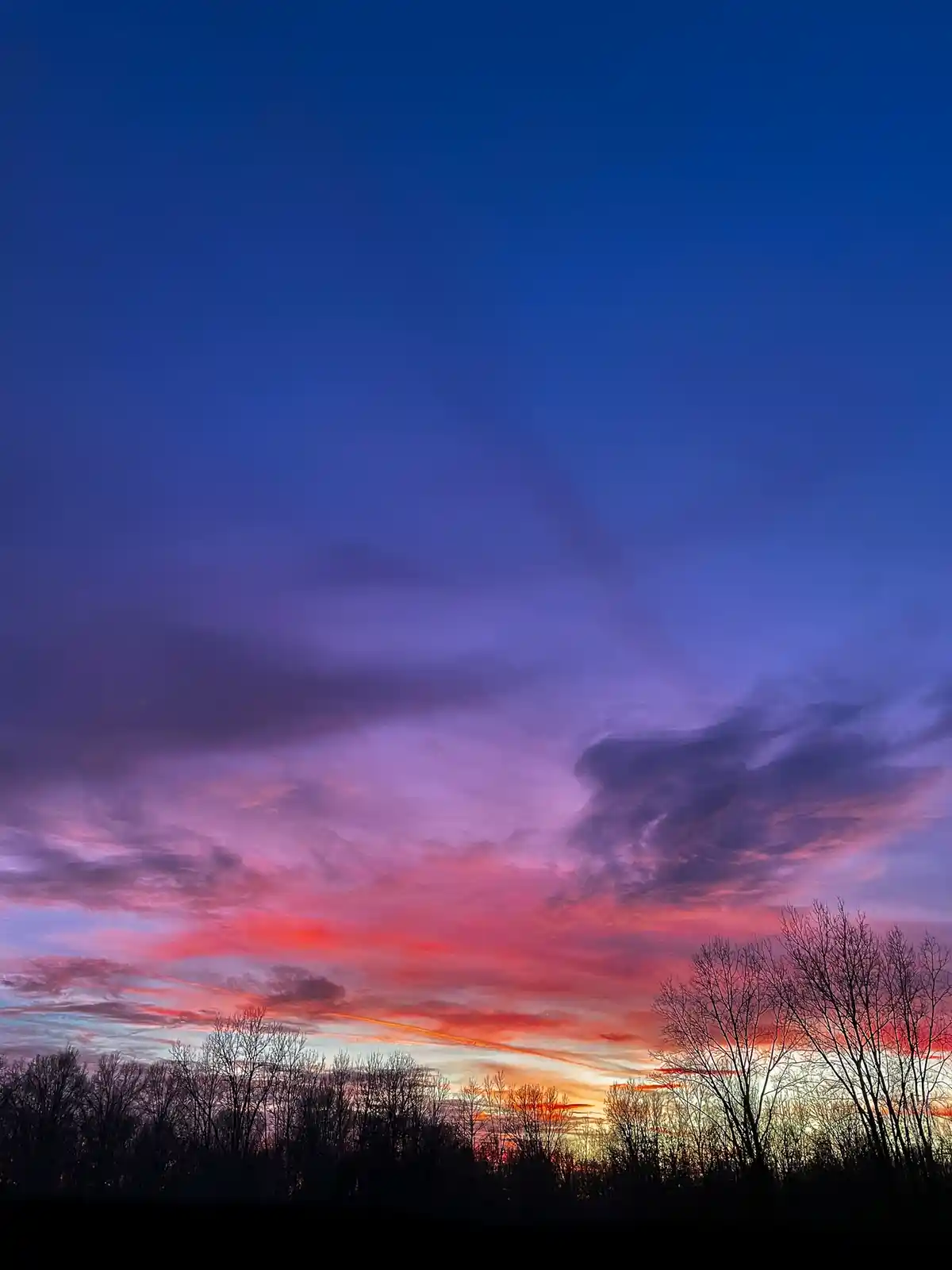 Last night's breathtaking sunset in southern Michigan.