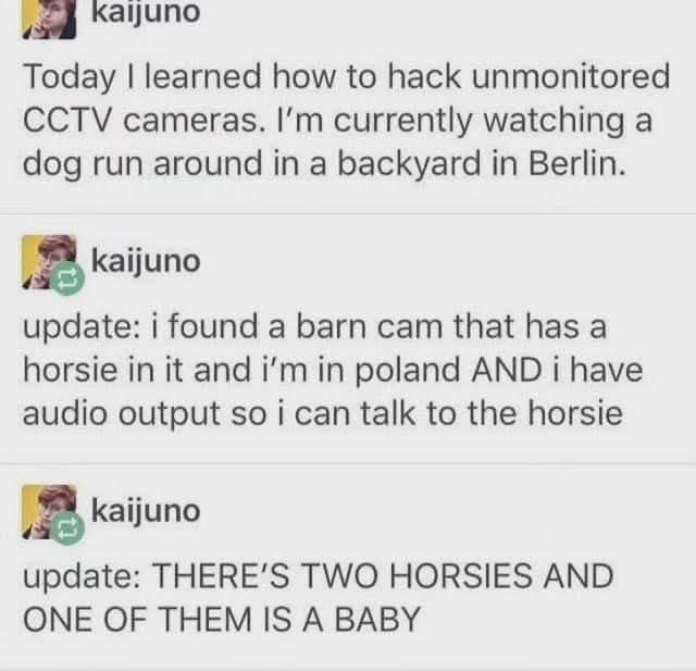 A screenshot of a social media thread shows a user named 'kaijuno' claiming to have hacked CCTV cameras. Their first post…