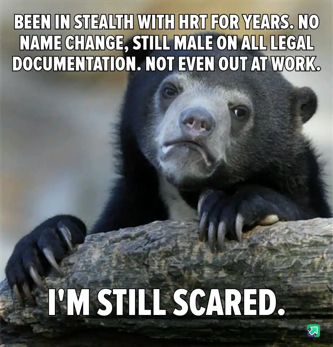 A close-up photo of a sad-looking spectacled bear resting its paws on a log, with white bold text overlaid in two sections…