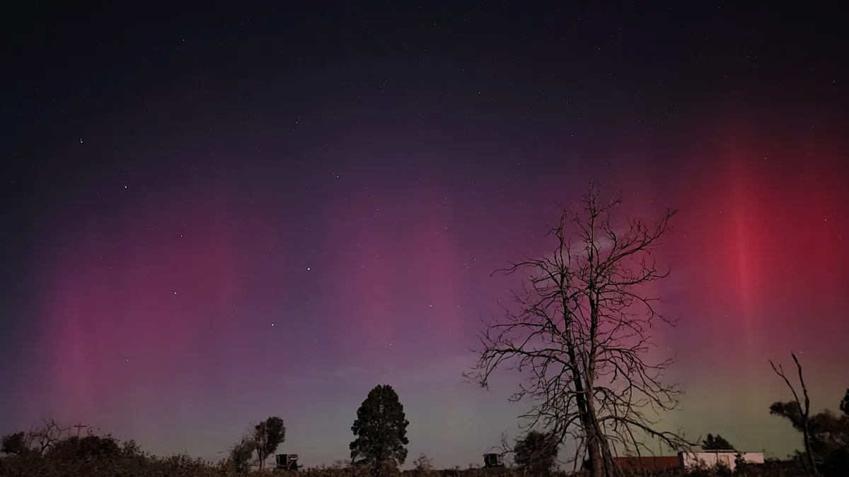 A night sky photograph shows vibrant pink and red aurora borealis curtains over a dark landscape with silhouetted trees and…