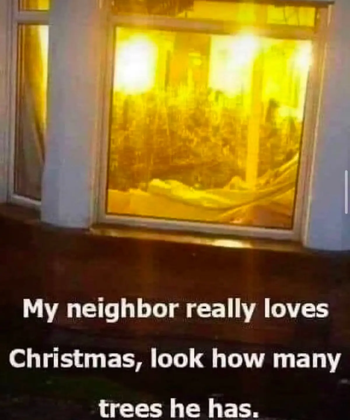 A nighttime photo shows a brightly lit window with a yellowish glow, revealing what appears to be a large, decorated…