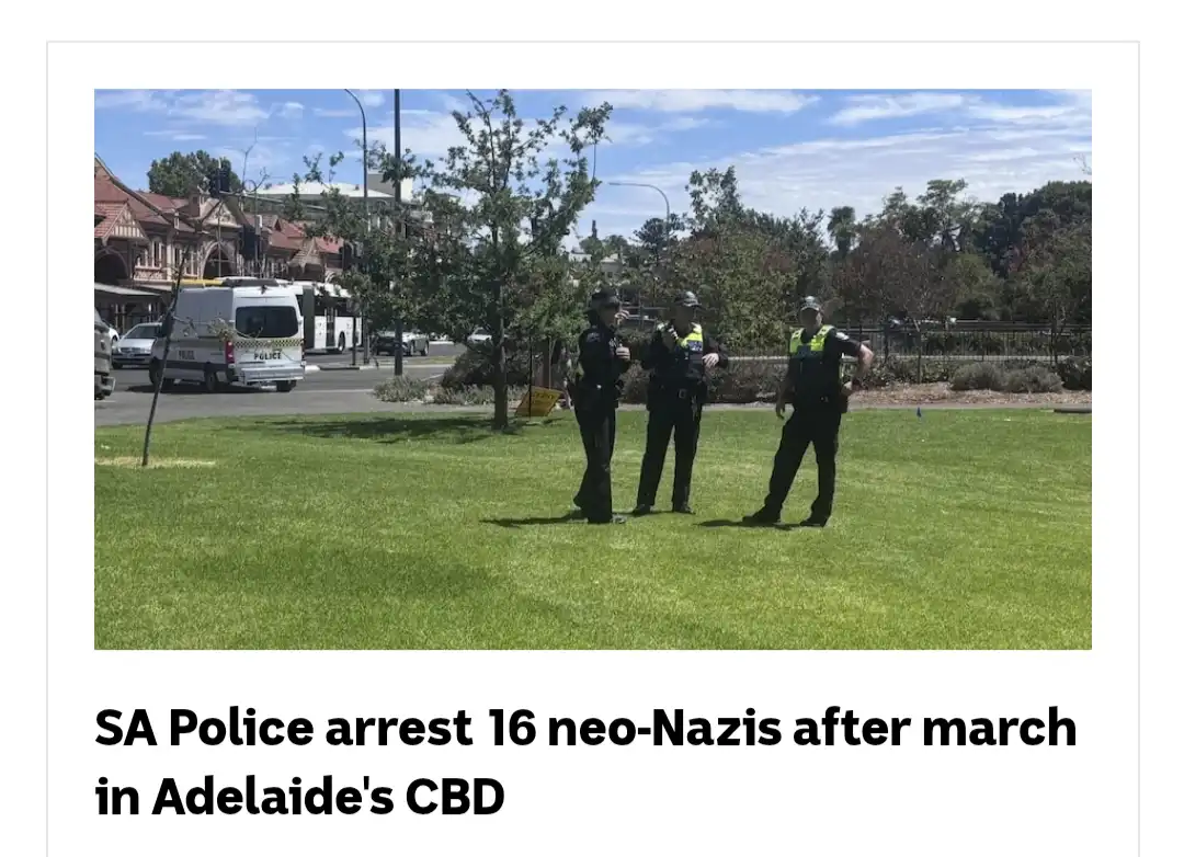 Three police officers stand on a grassy area in a city setting, with a police van and buildings visible in the background…