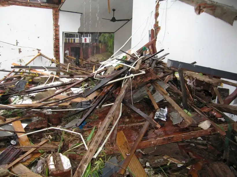 Reflecting on Survival: 20 Years Since the Tsunami