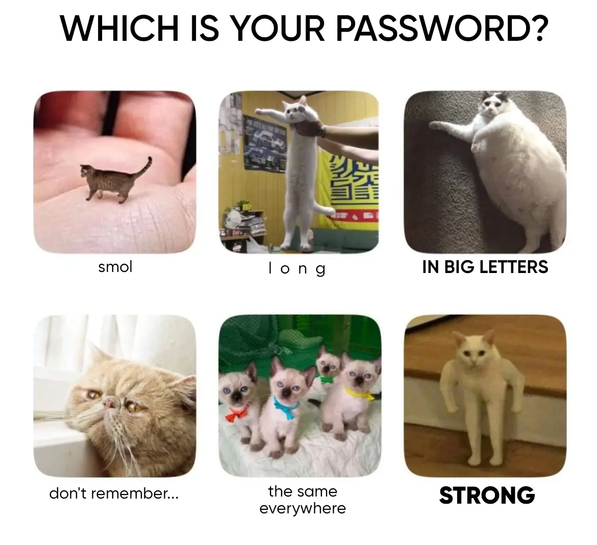 The image displays six pictures of cats with overlaid text, each representing a common password choice. The top row shows a…