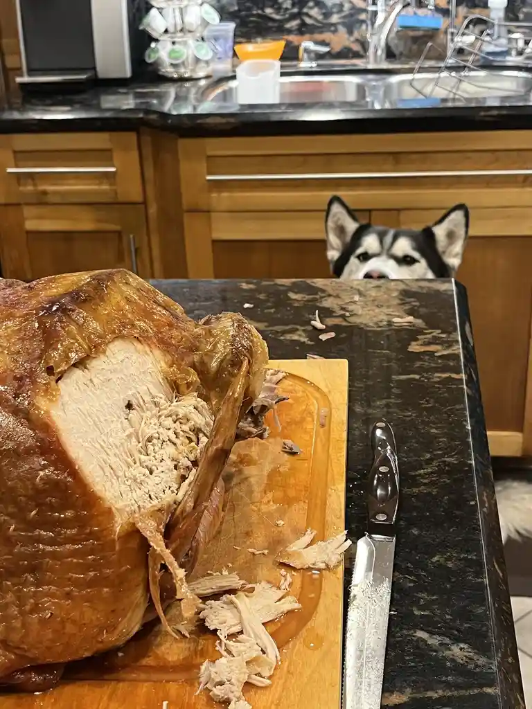 A large, partially carved roasted turkey sits on a wooden cutting board on a dark granite countertop, with a serrated knife…