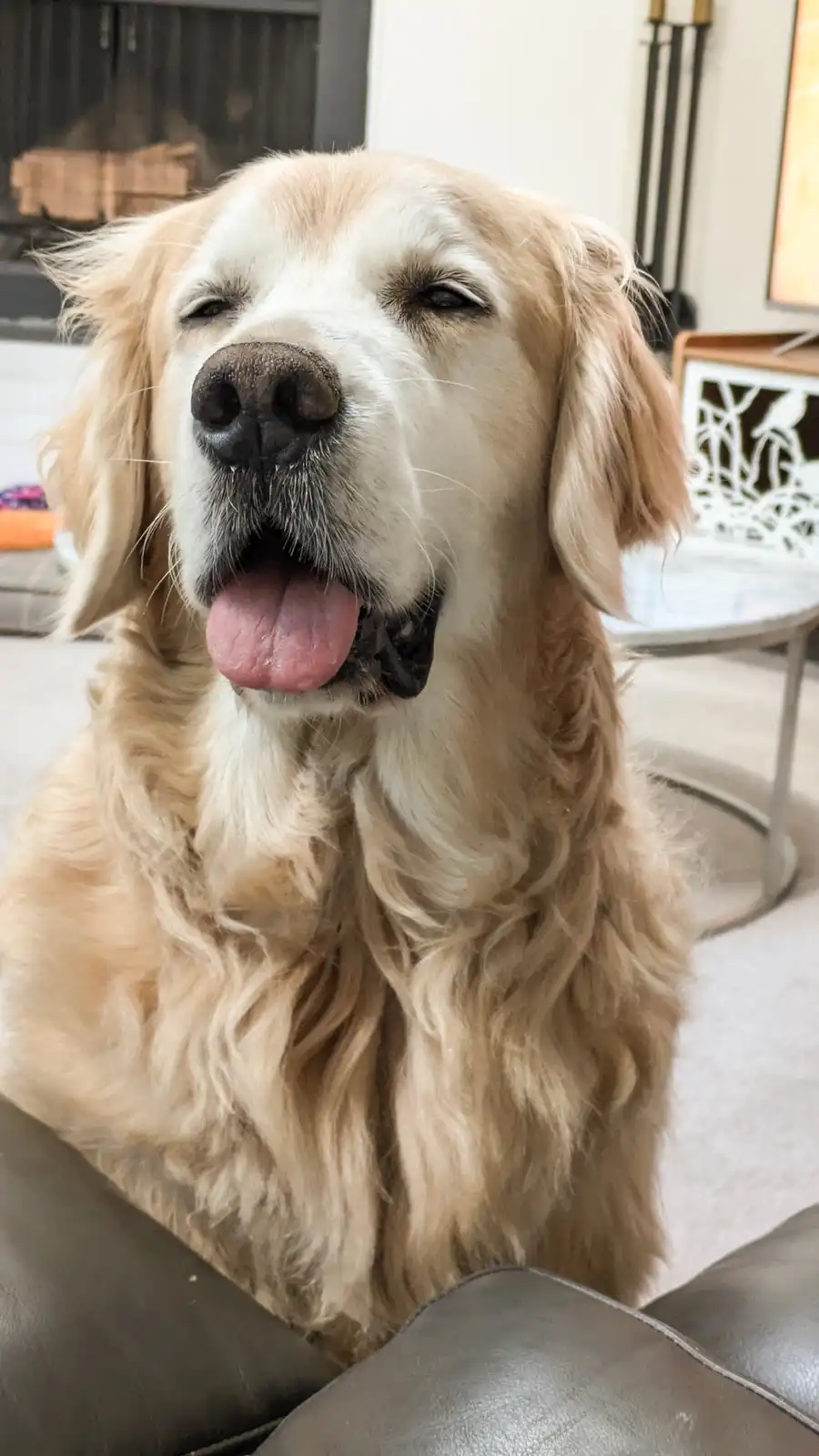 Watch Cooper Ace Math Problems in His Head!