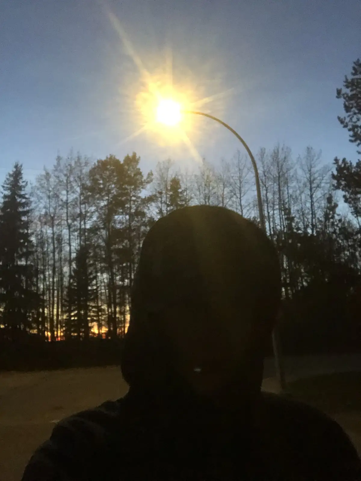 A person's silhouette is shown from behind, facing a bright streetlight that creates a starburst effect against a twilight…