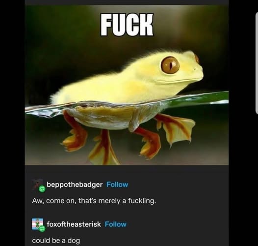 A close-up photo of a small, fluffy yellow frog partially submerged in water, with the word 'FUCK' in large white letters at…