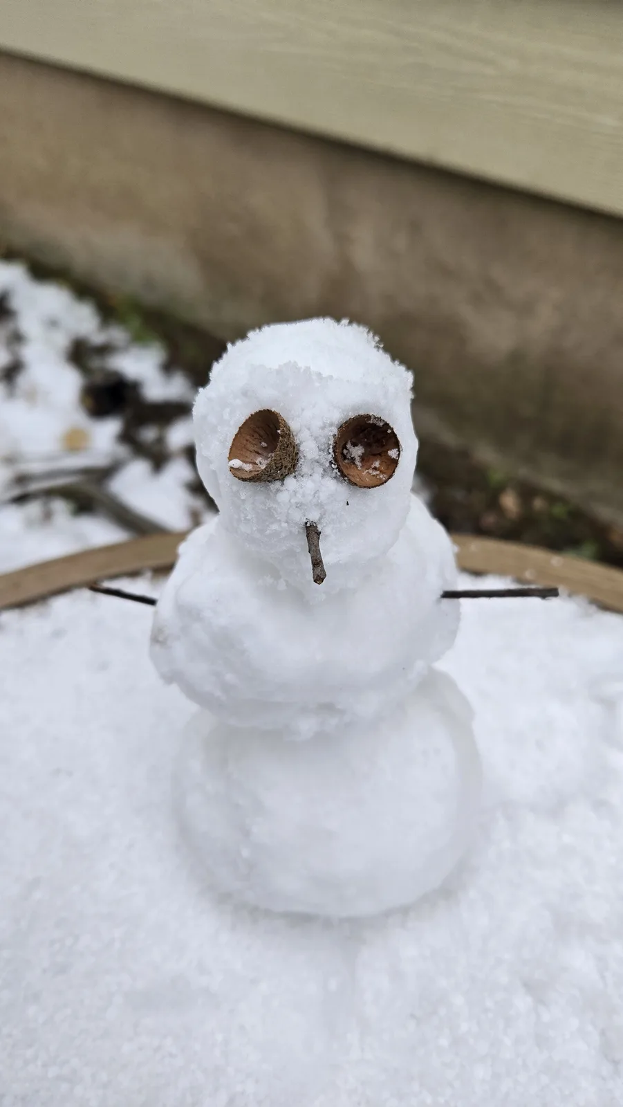 A small snowman made of three snowballs stands in a snowy yard, featuring two hollow acorn caps as eyes and a single twig as…