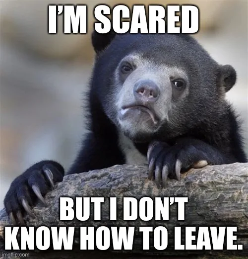 A close-up photo of a black bear with a worried, anxious expression, resting its paws on a log. The bear has large, sad eyes…