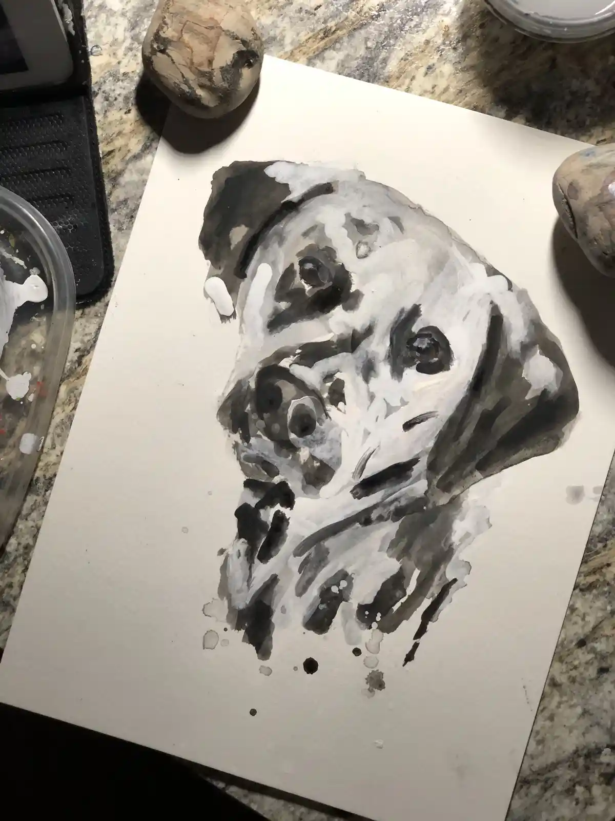 Starting My Journey with My First Dalmatian