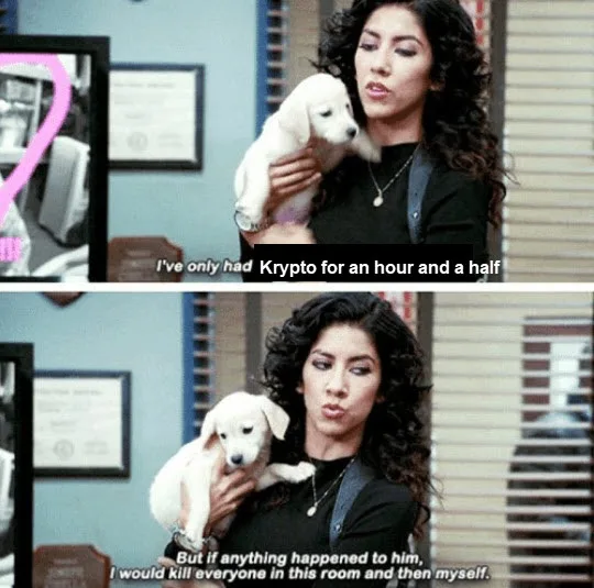 A two-panel meme featuring a woman holding a small white puppy. In the top panel, she says, 'I've only had Krypto for an…