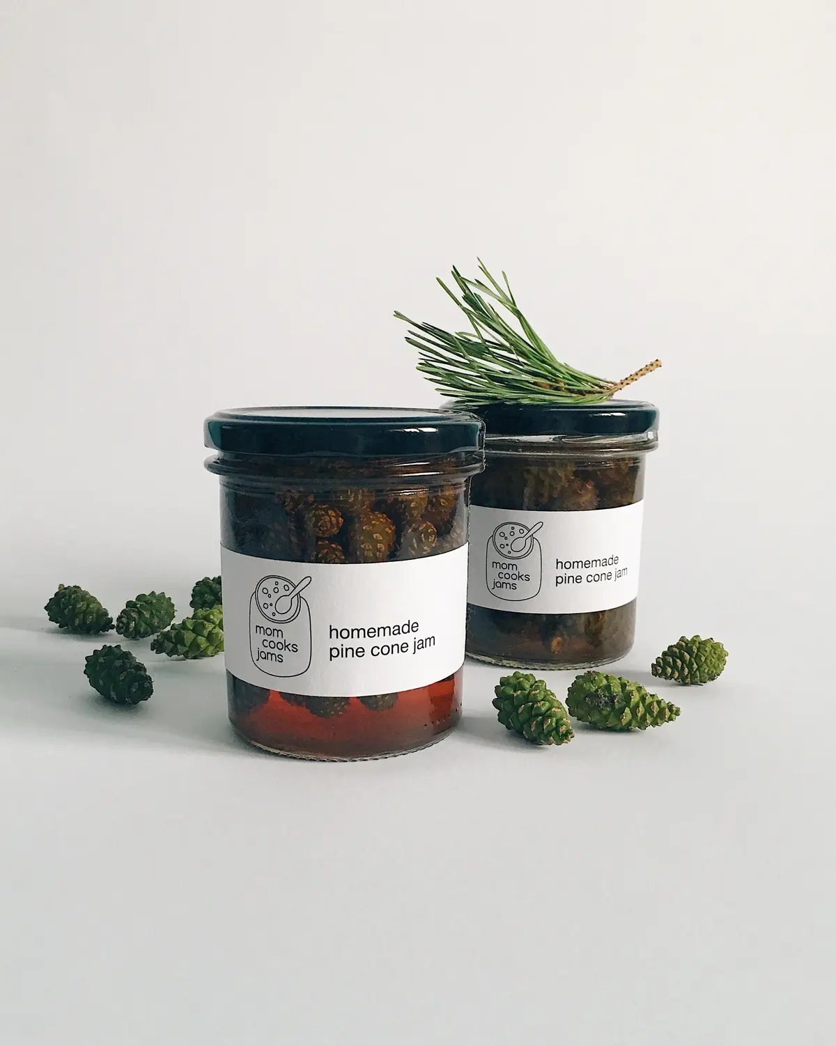 You Can't Make Jam from Acorns! Go Team Pinecone!