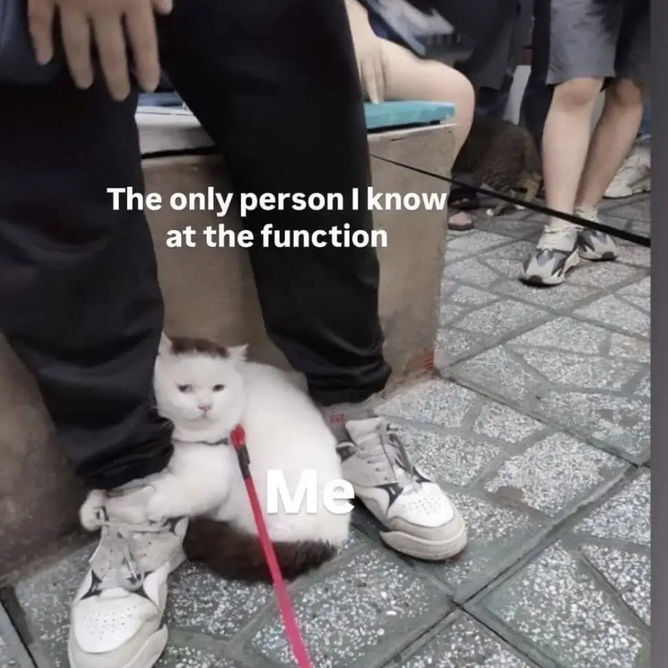 A fluffy white cat with a dark patch on its head sits on a tiled floor next to a person's white sneakers, wearing a red…