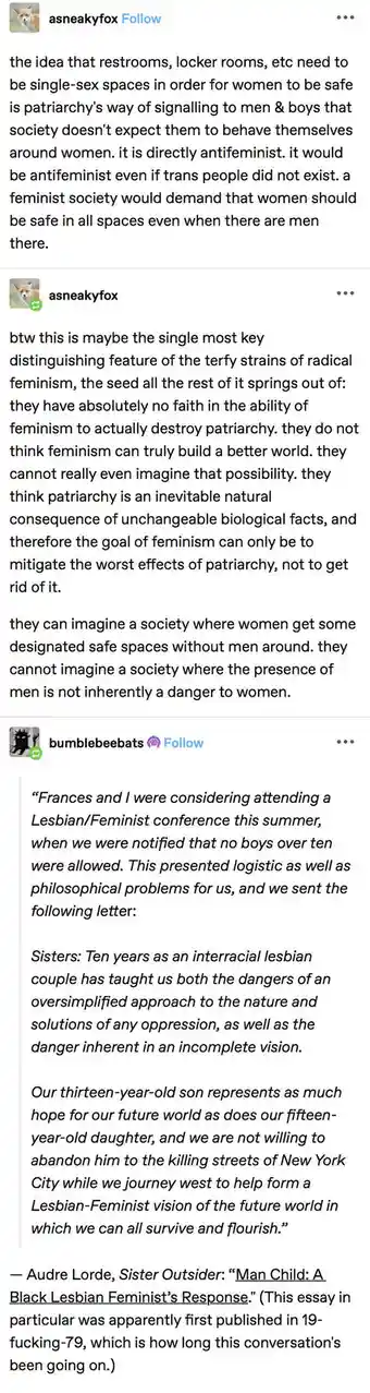 The image displays a screenshot of a social media thread. The first post by 'asneakyfox' argues that single-sex spaces for…