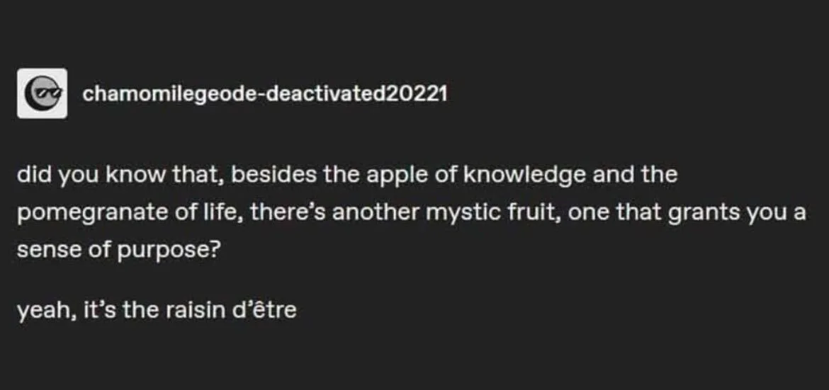A screenshot of a deactivated Instagram account's post with white text on a black background. The text humorously lists…