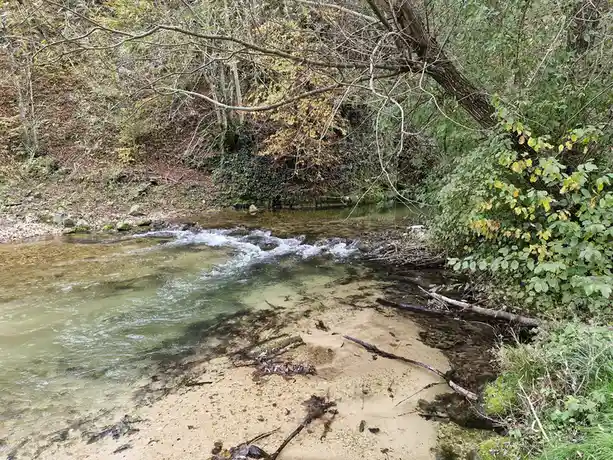 A clear, shallow stream flows over rocks and sand in a forest with autumn foliage, overlaid with the text 'i'm not lazy, i'm…