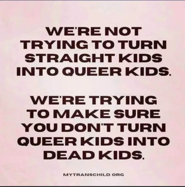 A pink background with bold black text stating: 'WE'RE NOT TRYING TO TURN STRAIGHT KIDS INTO QUEER KIDS. WE'RE TRYING TO…