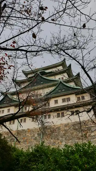 Experiencing the breathtaking beauty of fall in Japan.