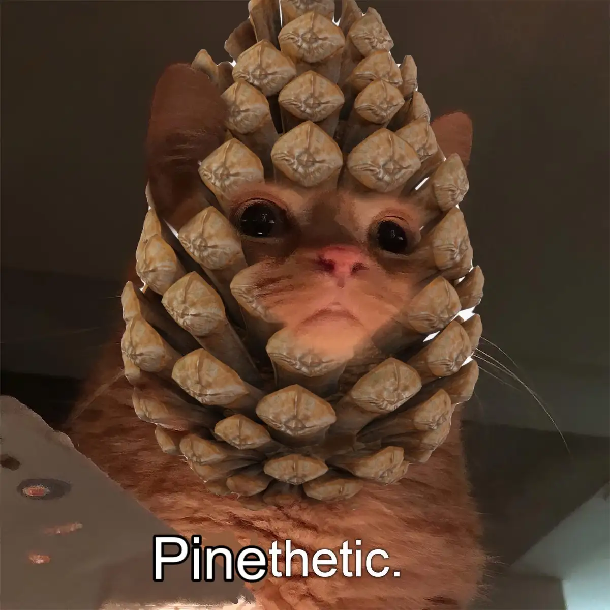 A close-up image of a cat's face with a pinecone digitally superimposed over its head, obscuring most of its features except…